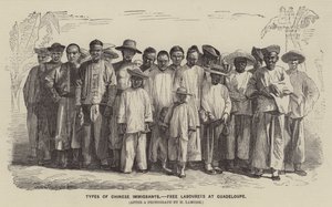 Tipos de imigrantes chineses, trabalhadores livres em Guadalupe de English School