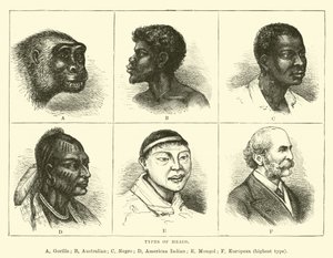 Tipos de cabeças de English School