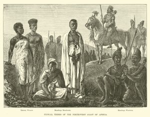 Tribos típicas da costa noroeste da África de English School