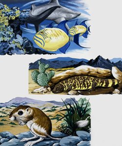 Criaturas subaquáticas e mouse de English School