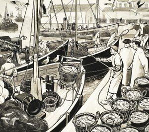 Porto de pesca não identificado com peixe do cais de English School