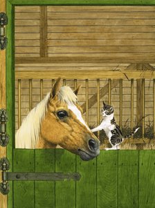 Cavalo não identificado e gatinho brincalhão de English School