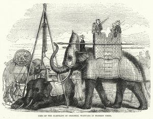 Usos do elefante na guerra oriental nos tempos modernos (gravura) de English School
