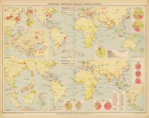 Produtos vegetais, tabaco, drogas e especiarias (litografia a cores) de English School