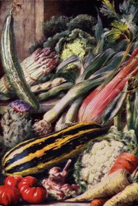 Legumes (lito colorido) de English School