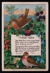 Verso, bagas e pássaros, cartão de Boas Festas de Ano Novo. (chromolitho) de English School
