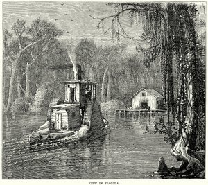 Vista na Florida (gravura) de English School