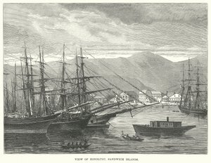 Vista de Honolulu, Ilhas Sandwich (gravura) de English School
