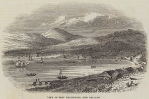 Vista de Port Wellington, Nova Zelândia (gravura) de English School