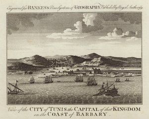 Vista, de, cidade, de, tunis de English School