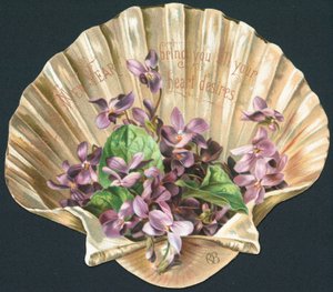 Violetas em Clam Shell, Cartão de Ano Novo de English School