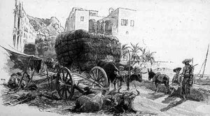 Vagões com Grama Esparto, Almeria, Espanha, de 