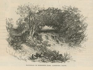 Cachoeira em Tichborne Park de English School