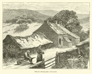 Chalés galês Moorland de English School