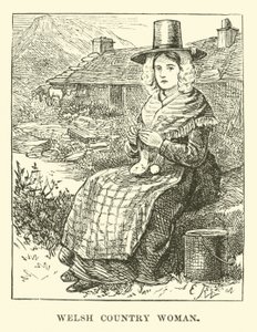 Mulher do país galês de English School