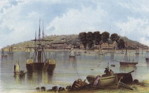 Cowes ocidentais de English School