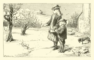 Quando a neve está no chão de English School