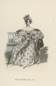 Jornal de Viena, junho de 1834 de English School