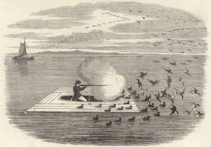Tiro de pato selvagem no Potomac de English School