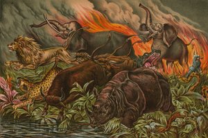 Jogo selvagem da África fugindo antes do fogo