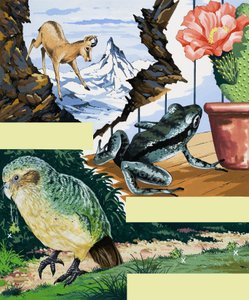 Montagem de animais selvagens de English School