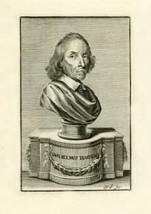 William Harvey de English School