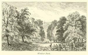 Windsor Park de English School