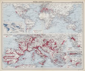 Vinho, países produtores (litografia a cores) de English School