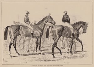 Vencedores do Middle Park Plate e do Caesarewitch Stakes (gravura) de English School