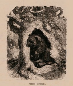 Winterquartiere (Gravur)