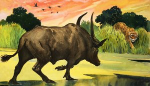 Maravilhas da natureza: mais feroz animal de todos eles