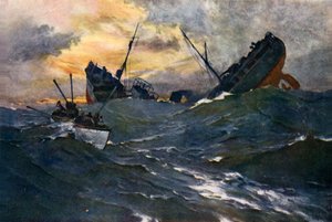Trabalho dos Lobos Marinhos