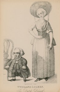Wyband Lolkes, o anão holandês de English School