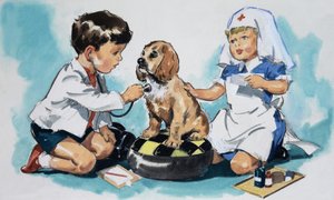 Jovens veterinários de English School