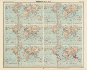 Zoogeografia: Mammalia, Cetacea, Sirenia (litografia a cores) de English School