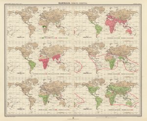 Zoogeografia: Mammalia, Primates, Chiroptera (litografia a cores) de English School