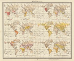 Zoogeografia: Mammalia, Ungulata (litografia a cores) de English School