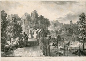 Jardins Zoológicos, Regents Park de English School