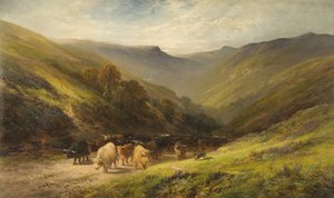 Gado das terras altas de English School English School