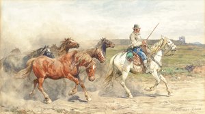 Cavalos a cavalo no Campagna romano de Enrico Coleman