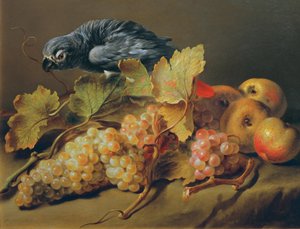 Natureza morta com papagaio e uvas