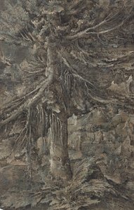 "O grande abeto". Paisagem montanhosa com uma cidade fortificada e uma fortaleza, um grande abeto em primeiro plano