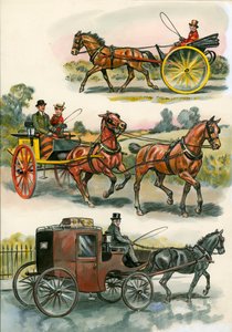 Cavalos