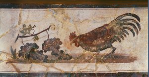 Galo e uvas, Herculano, Itália (fresco) de Erich Lessing
