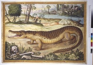 Página inteira: Crocodilo do Nilo numa paisagem, com ossos humanos ao lado, c.1562-1580 (aguarela sobre papel) de Erich Lessing