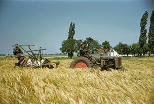  de Erich Lessing