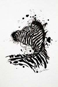 Salpicos de tinta da zebra selvagem