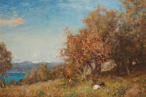 paisagem