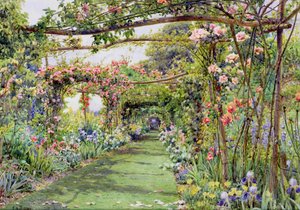 O Pergola de Rose, Casa de Blackhurst, Tunbridge Wells, Kent
