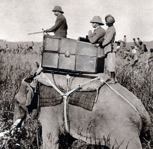 George V 1911 caça no Nepal (1911)